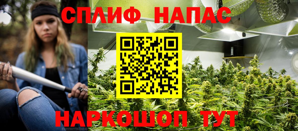 Печора  Бошки марихуана Ganja  Бошки марихуана планчик  Вход с VPN  Конопля SATIVA & INDICA  Канабис Amnesia 